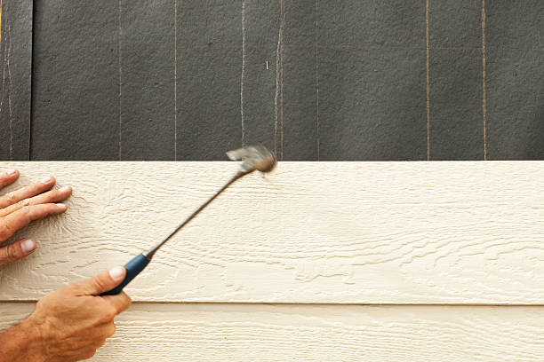 Best Steel Siding Installation  in South Sioux City, NE